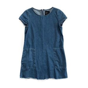 Zara Denim Shift Dress